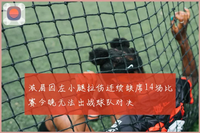 浓眉因左小腿拉伤连续缺席14场比赛今晚无法出战球队对决
