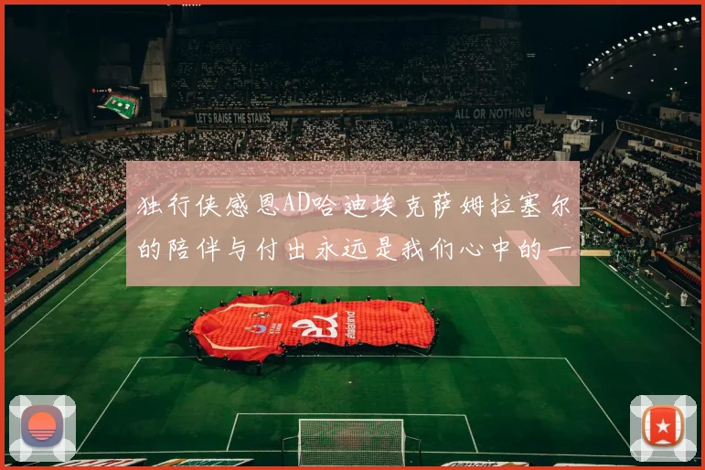 独行侠感恩AD哈迪埃克萨姆拉塞尔的陪伴与付出永远是我们心中的一家人