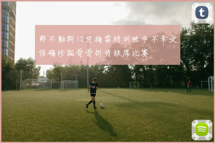 那不勒斯门将梅雷特训练中不幸受伤确诊跖骨骨折将缺席比赛