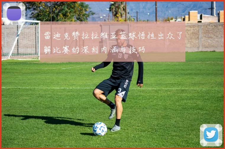 雷迪克赞拉拉维亚篮球悟性出众了解比赛的深刻内涵与技巧