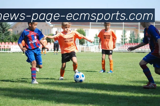 易倍体育服务体系