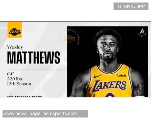 快船老将阵容的期待与现实之间的差距分析